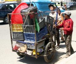 يضطرون لذلك من أجل إعالة أسرهم الفقيرة              تنامي خطير لعمالة الأطفال بأسواق تندوف