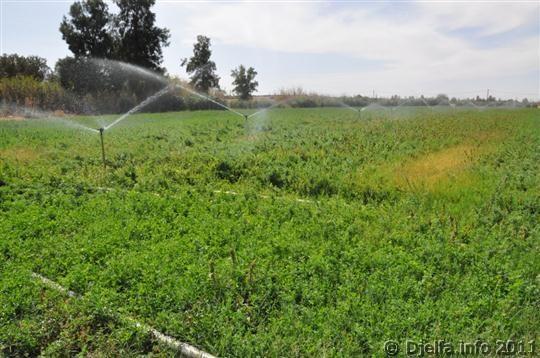 ربط المحيط الفلاحي 