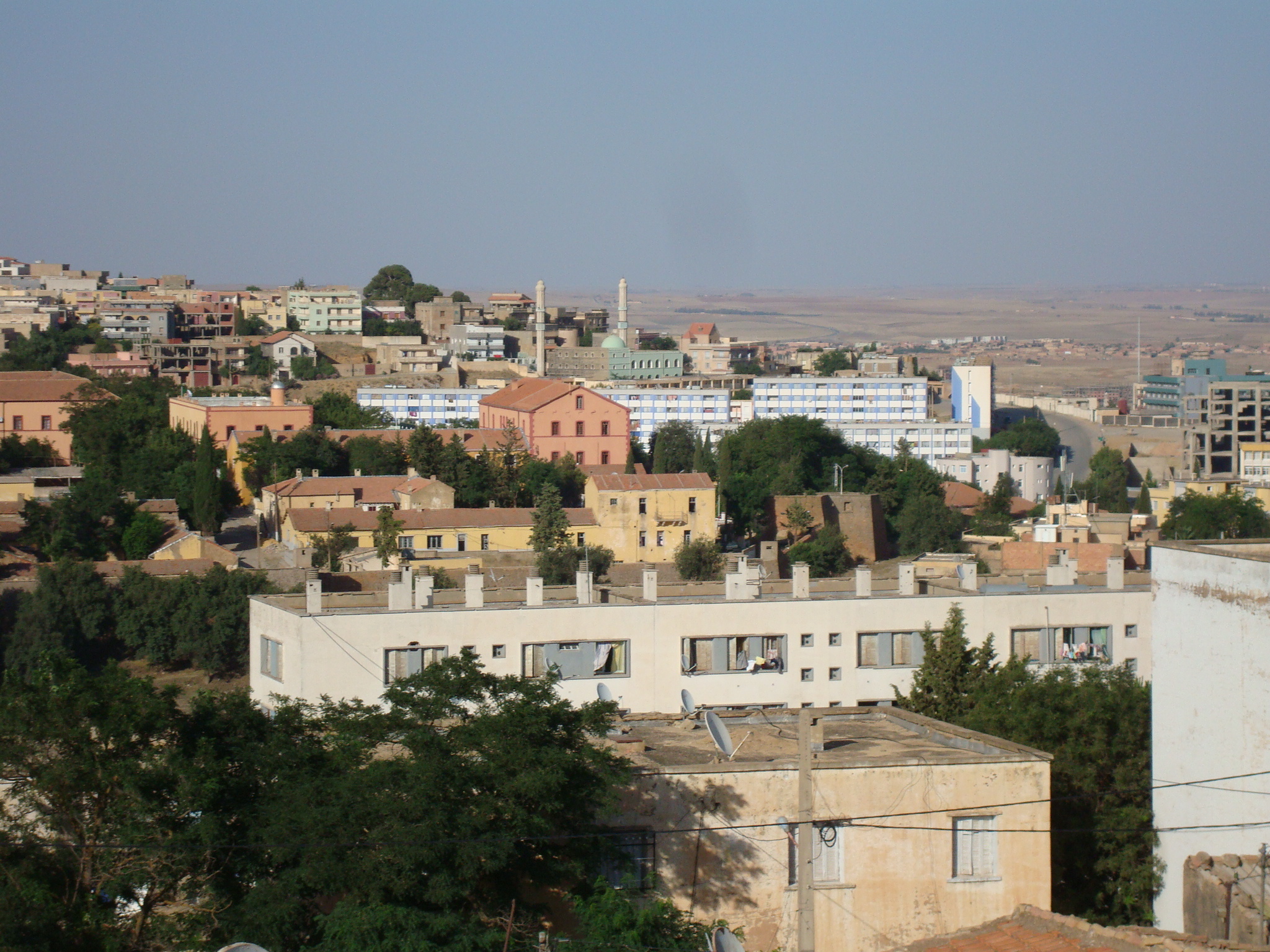 Tiaret - Un volontariat pas comme les autres