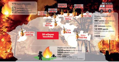 Feux de Forêt Près de 5000 ha ravagés depuis juin