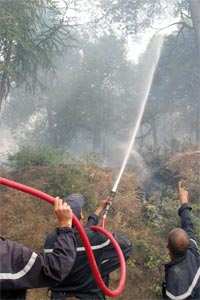 Un début juillet pas de tout repos