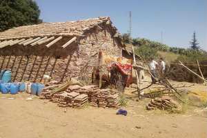 عائلة فقيرة تقاسم كوخها مع الأفاعي بالشلف