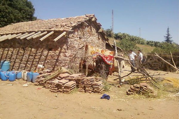 عائلة فقيرة تقاسم كوخها مع الأفاعي بالشلف