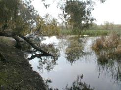 رغم توفر الولاية على إمكانيات طبيعية مهمة              السلطات المحلية بالطارف تفشل في استقطاب المستثمرين