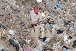 الفضلات الحيوانية من أكثـر أسباب انتشارها               300 حالة إصابة بالليشمانيا الجلدية في الوادي