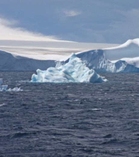 Planète - La pollution au plastique a atteint l'océan Antarctique