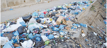 جمعيات انتقدت نجاعة برنامج الجزائر البيضاء