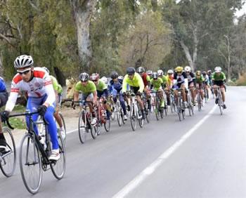 Une discipline en quête de son lustre d'antan