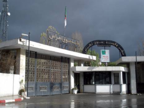 Les promoteurs défient les autorités