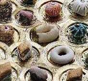 Les traditions culinaires de Tlemcen