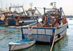 التحقيقات الأمنية كشفت عن 13 عنصر دعم وإسناد بينهم قصر بولاية بومرداس              15 صياد سمك متهمون بتزويد الإرهابيين بـ”الديناميت” المسربة من المغرب