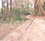 قلعة الشيخ بوعمامة بولاية النعامة