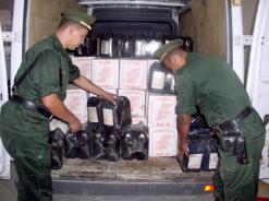 توقيف 215 شخص والاعتداءات تتصدر القائمة في تيزي وزو              انخفاض طفيف في عدد الجرائم بتيزي وزو