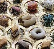 Les traditions culinaires de Tlemcen