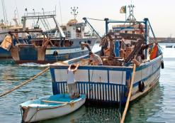 التحقيقات الأمنية كشفت عن 13 عنصر دعم وإسناد بينهم قصر بولاية بومرداس              15 صياد سمك متهمون بتزويد الإرهابيين بـ”الديناميت” المسربة من المغرب