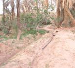 قلعة الشيخ بوعمامة بولاية النعامة