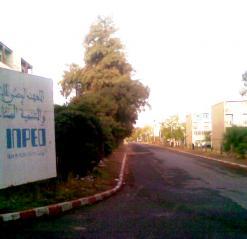 اتهموه بالمحسوبية والتمييز بين العمال              موظفو المعهد الوطني للإنتاجية ببومرداس يطالبون برحيل المدير