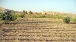 برلمانيون يعقدون جلسات مع رؤساء بلديات الولاية لتهدئة الوضع              ثلاثة احتجاجات في يوم واحد بالوادي