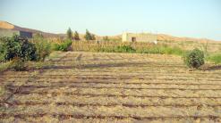 برلمانيون يعقدون جلسات مع رؤساء بلديات الولاية لتهدئة الوضع              ثلاثة احتجاجات في يوم واحد بالوادي