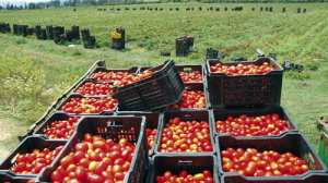 Des difficultés subsistent