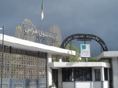 Les promoteurs défient les autorités