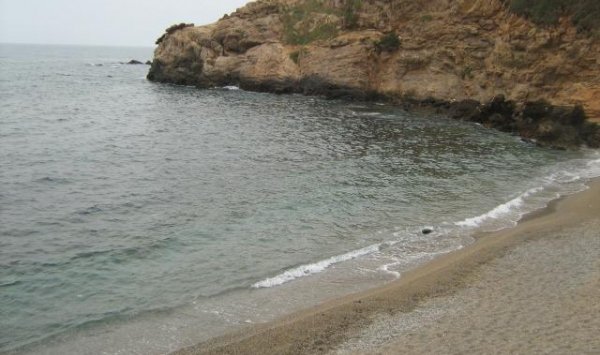 80 شابا يشاركون في حملة لتنظيف شاطئ