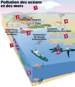 Jour méditerranéen de la côte: L'action de l'Algérie pour la protection de la mer
