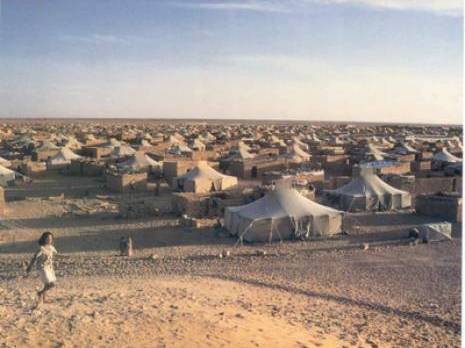 Réfugiés du Sahara-occidental : Don de 106 tonnes de dattes