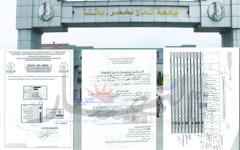 نجاح طالبة راسبة بقسم البيطرة بجامعة باتنة 1