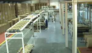 تنصيب خلية ولائية لمتابعة المشاريع بمعسكر