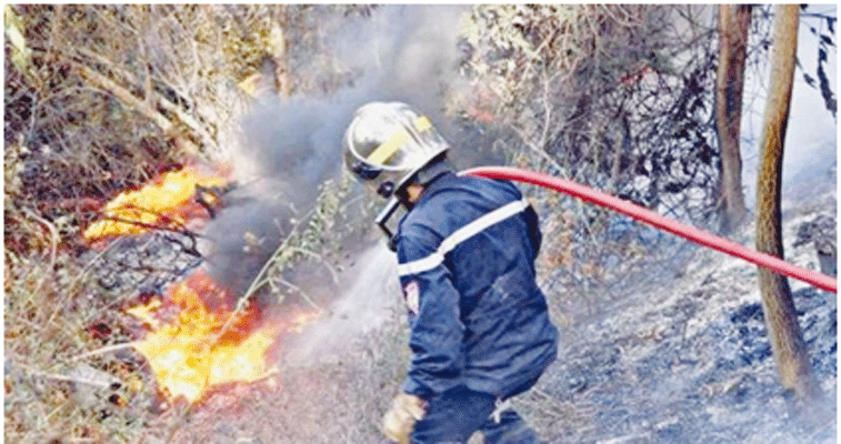 نشوب أكثر من 40 حريقا بالطارف و سكيكدة في يوم واحد