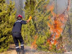 Près de dix wilayas sous l'effet des Feux de forêts
