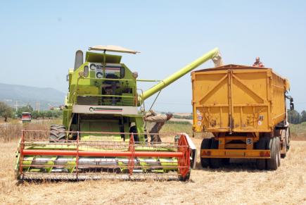 توقع إنتاج مليون ونصف قنطار من الحبوب بباتنة