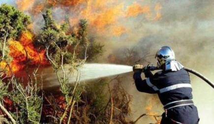 النيران تأكل أشجار بجاية