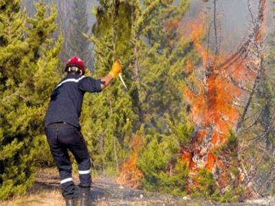 Près de dix wilayas sous l'effet des Feux de forêts