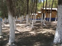 Vingt-trois campings le long de la Corniche