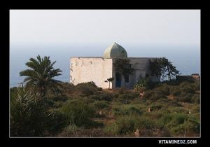Enfin le maire de Mostaganem a entendu les morts !  CIMETIERE DE SIDI MAAZOUZ