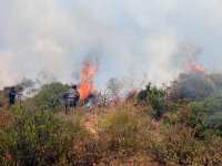 155 incendies en 48 heures