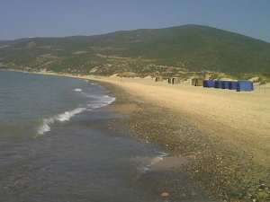 شاطئ الدشرية بالشلف