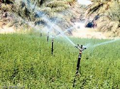 فيما أعطت الوزارة الأولوية في مياه 