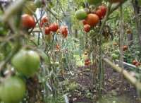 L'insuffisance de moyens de stockage, une contrainte