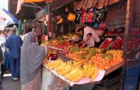 Les professionnels pointent le manque de production et de contrôle