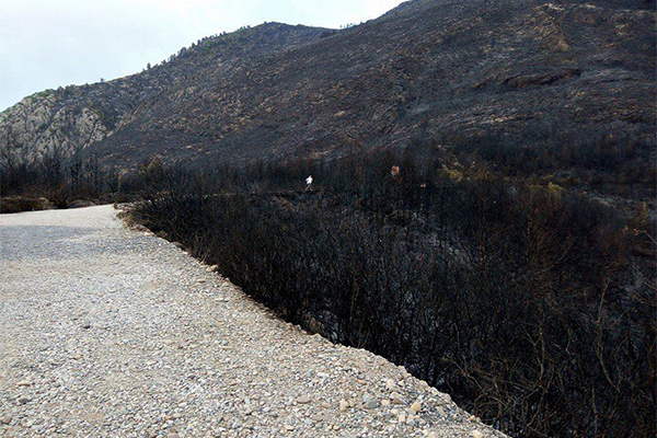 إقبال منقطع النظير للسياح وسكان بجاية على يما ڤورايا 