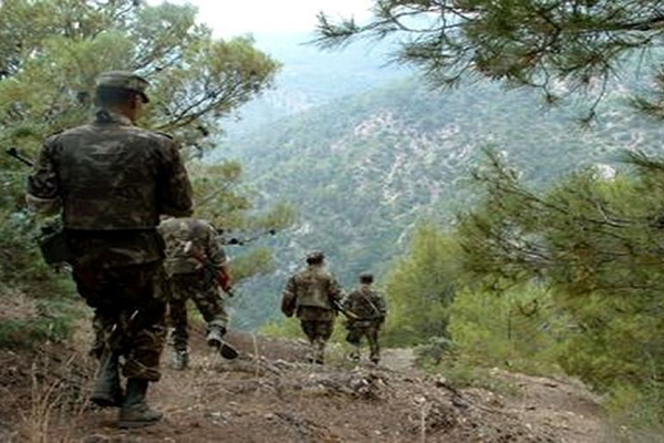 الجيش يدمّر 24 مخبأ للإرهابيين بتيزي وزو وبجاية