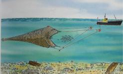 تمكن السفينة من الصيد حتى خلال الظروف المناخية الصعبة               يوم تحسيسي حول استعمال تقنية الصيد بالسحب في بومرداس