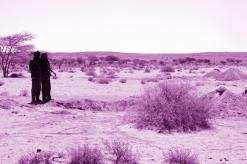 السكان طالبوا رئيس الجمهورية ووزير الفلاحة بالتدخل لكشف الجريمة              منتخبون بالوادي استغلوا نفوذهم واستحوذوا على العقار الفلاحي بالبياضة