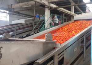 Conserverie de Tomate Annaba Algerie