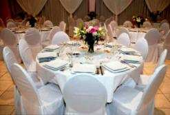 يدر مبالغ مالية معتبرة              طبيبات وإطارات يتجهن نحو تنظيم الأعراس والحفلات بعنابة