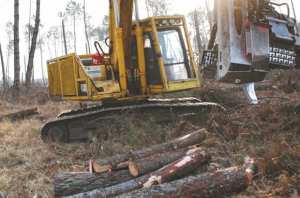 Des parcelles agricoles détruites à Tissemsilt