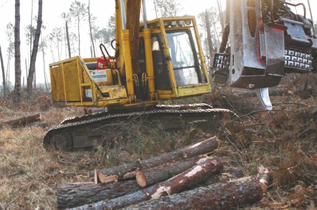 Des parcelles agricoles détruites à Tissemsilt